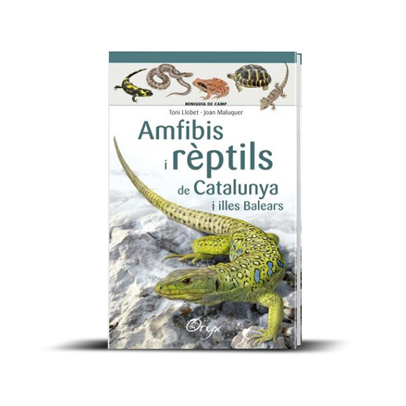 Amfibis i rèptils de Catalunya i les Illes