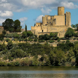 Visita guiada al castell de...