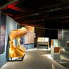 Visita guiada a l’exposició 'Animals Invisibles'