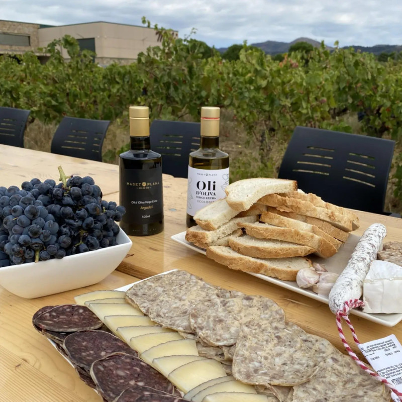 Esmorza, fes un tast de 4 vins i 6 olis i visita uns búnquers de la guerra civil