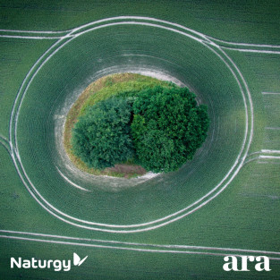 El biogàs, una energia...