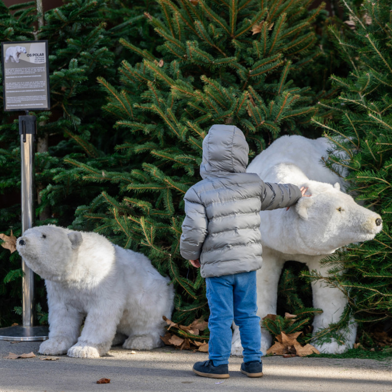 'Pack' de 4 entrades per al Zoo de Barcelona