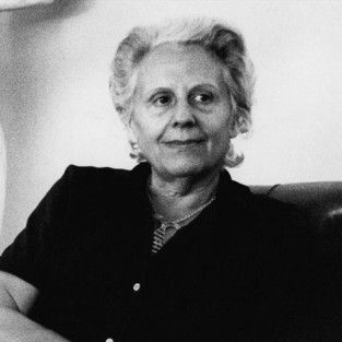 Visita guiada a l’exposició...