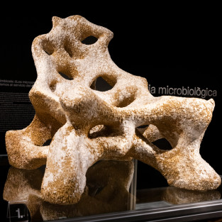 Visita guiada: objectes...