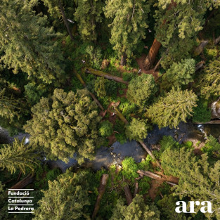 Innovació en la bioeconomia...