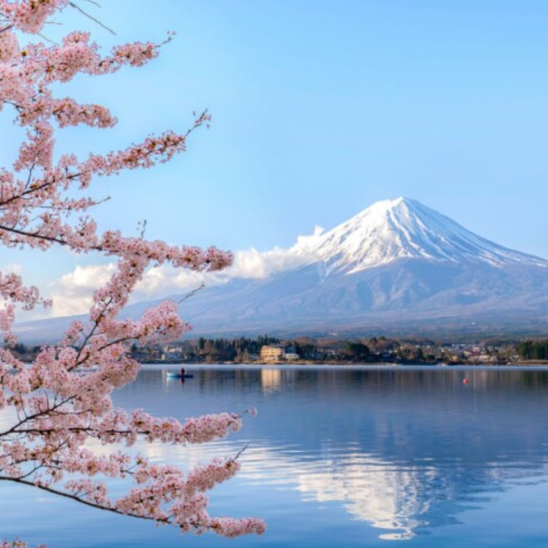 Viatges en grup amb guia | Promoviatges