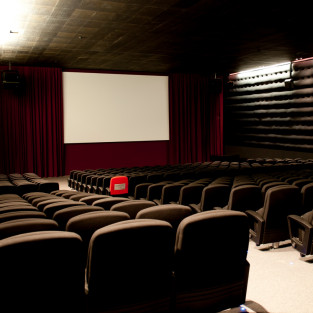 Sessió especial | El cinema...