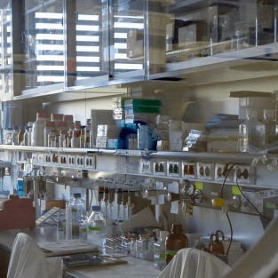 Acompanya el periodista...