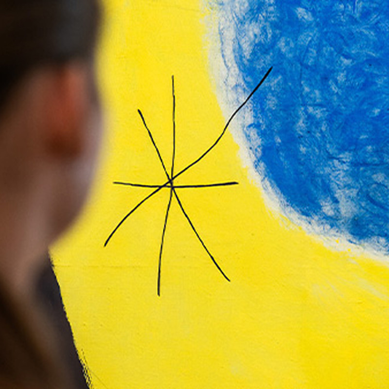 Visita guiada a la nova col·lecció de la Fundació Miró