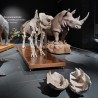 Visita guiada al Museu de Ciències Naturals de Barcelona i dinar davant del mar