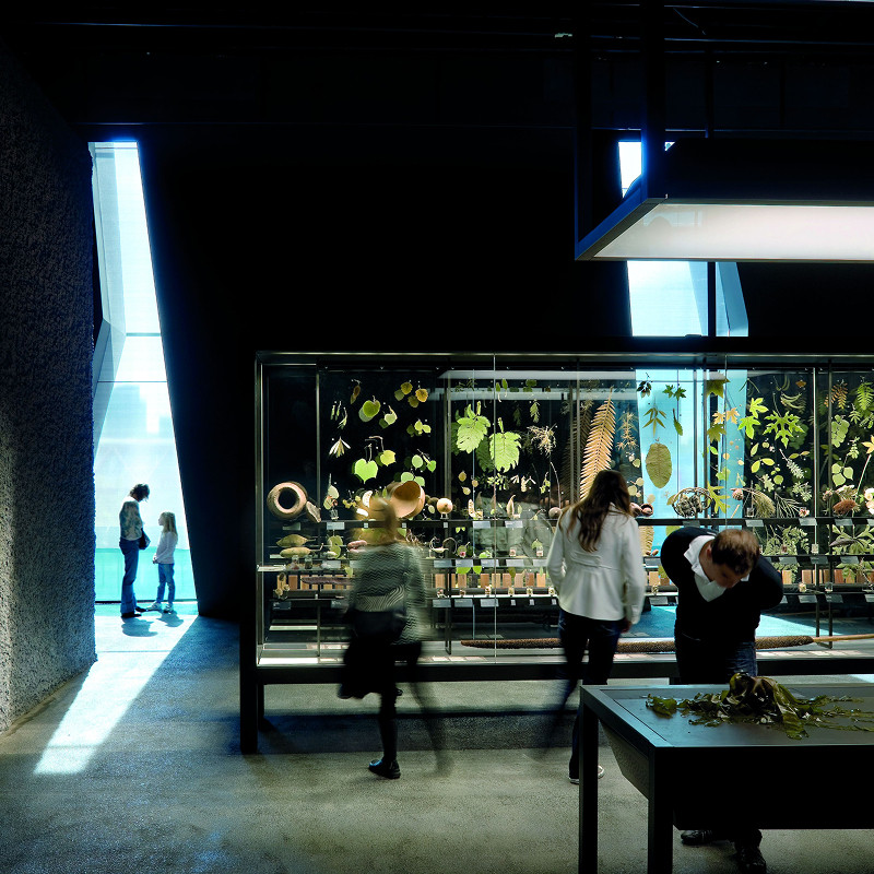 Visita guiada al Museu de Ciències Naturals de Barcelona i dinar davant del mar