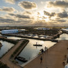 10 entrades dobles per al Delta Birding Festival 2026