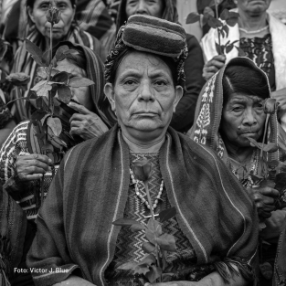 Visita guiada a porta...